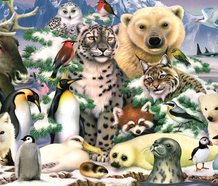 Puzzle - King - Polárné zvieratá