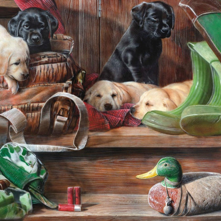 Šteniatká na schodoch