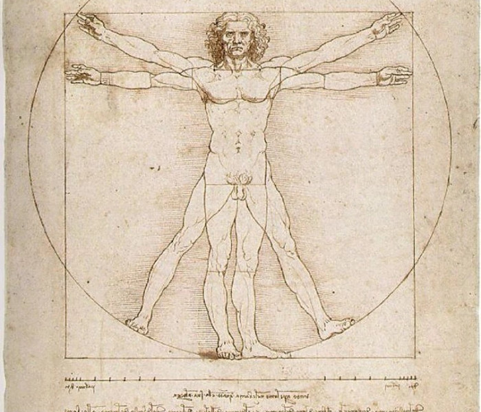 Puzzle - Ravensburger - Omul Vitruvian