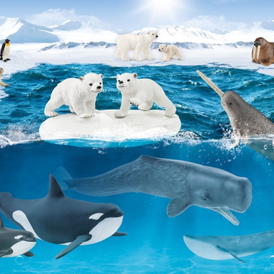 Antarktiszon + figura