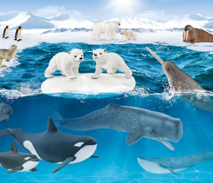 Puzzle - Schmidt - Antarktiszon + figura