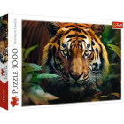 Puzzle - Trefl - Divoký tiger