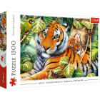 Puzzle - Trefl - Dva tigre
