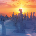 Puzzle - Trefl - Natura finlandeză