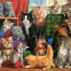 Puzzle - Trefl - Mačacie stretnutie