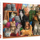 Puzzle - Trefl - Mačacie stretnutie