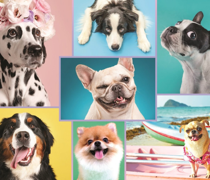 Puzzle - Trefl - Roztomilí psi