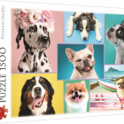 Puzzle - Trefl - Roztomilí psi