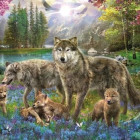 Puzzle - Trefl - Vlčia rodina