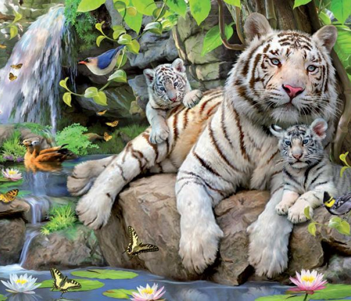 Puzzle - Educa - Tigri albi