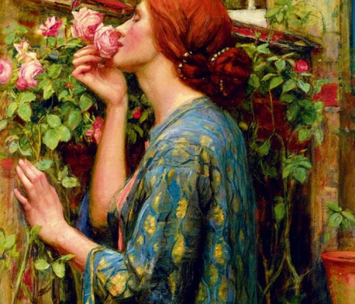 Puzzle - Bluebird - Duša ruže