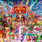 Puzzle - Bluebird - Nočný cirkus