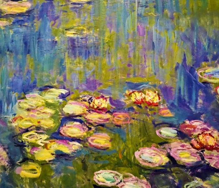 Puzzle - Bluebird - Rozkvitnuté lekná