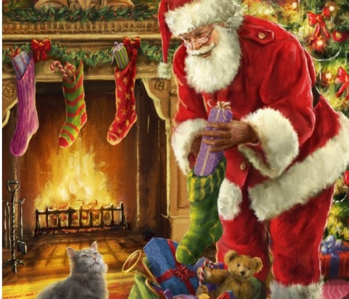 Puzzle - Bluebird - Santa prišiel