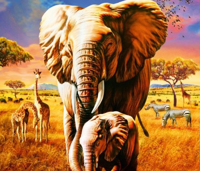 Puzzle - Bluebird - Sloni