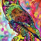 Puzzle - Bluebird - Bagoly