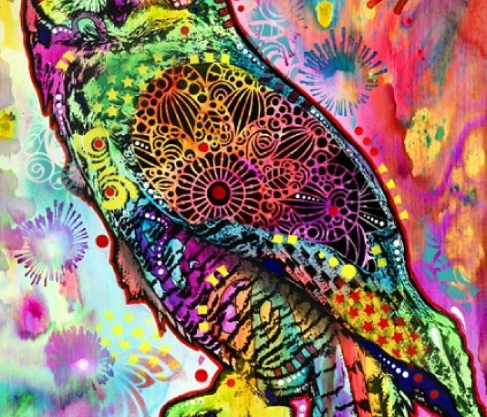 Puzzle - Bluebird - Bagoly