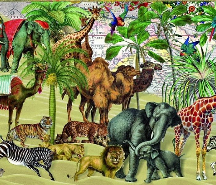 Puzzle - Bluebird - Zvieratá v púšti