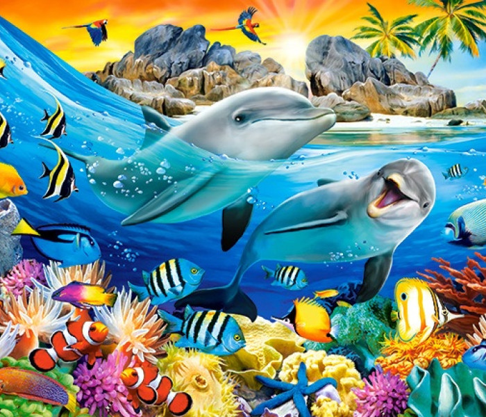 Puzzle - Castorland - Delfíny v trópoch
