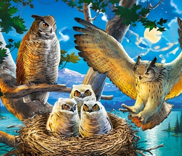 Puzzle - Castorland - Sovia rodina