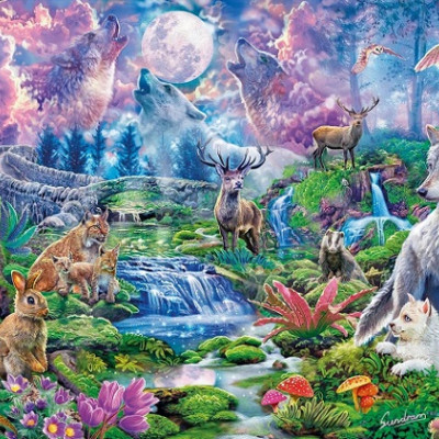 Divoký svet pri svite mesiaca