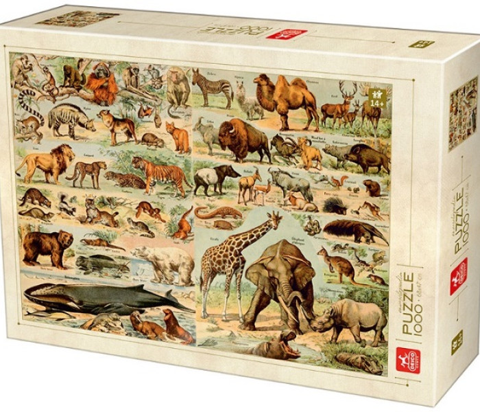Puzzle - D-toys - Puzzle Encyklopedia zwierząt