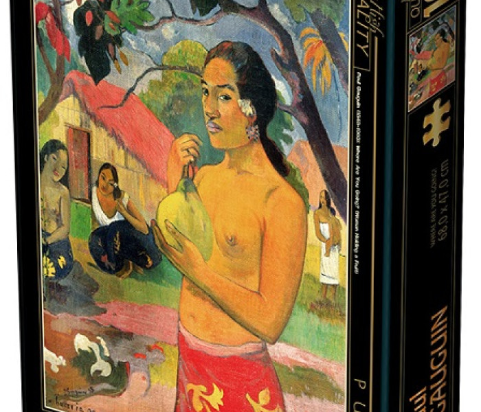 Puzzle - D-toys - Kam ideš?