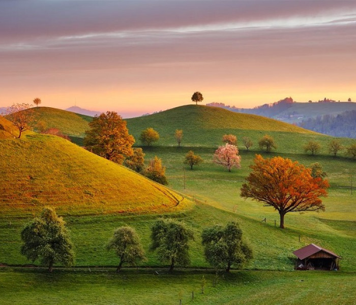 Puzzle - Dino - Răsărit de poveste