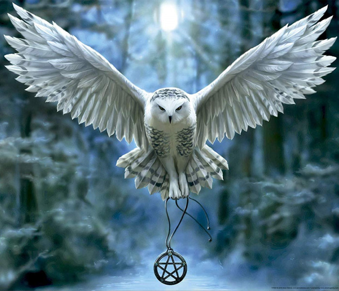 Puzzle - Educa - Trezește-ți magia