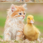 Puzzle - Educa - Rozkošní priatelia