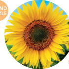 Puzzle - Educa - Floarea-soarelui - Puzzle rotund