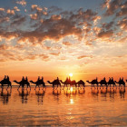 Puzzle - Educa - Zlatý západ slnka, Austrália