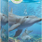 Puzzle - Eurographics - Delfini