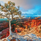 Puzzle - Eurographics - Răsărit peste Grand Canyon