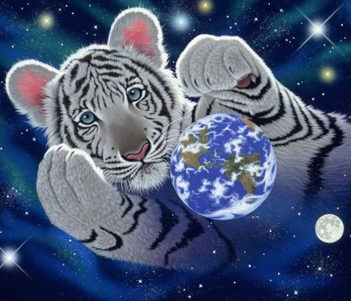 Puzzle - Grafika - Objatie zemegule