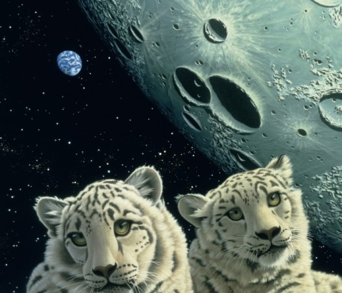 Puzzle - Grafika - Snežné leopardy