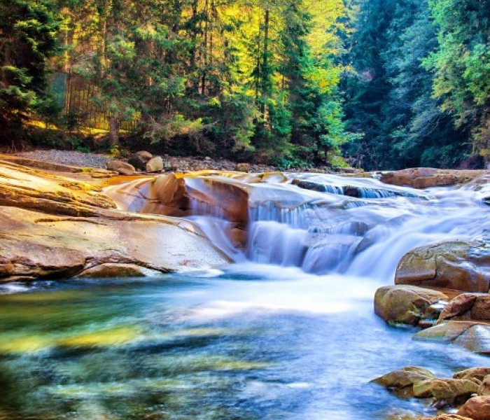 Puzzle - Grafika - Vodopád v lese