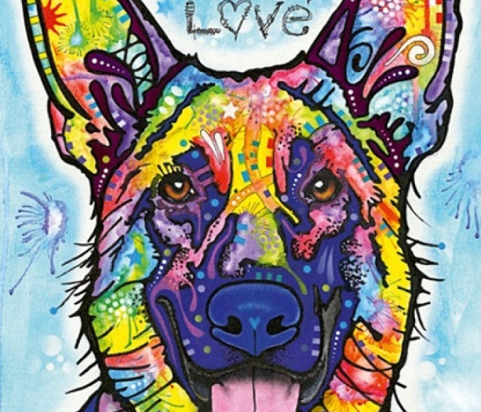 Puzzle - Heye - Pes nikdy neklame