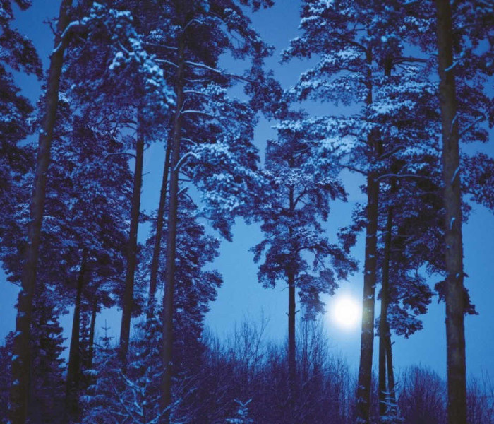 Puzzle - Heye - Spln