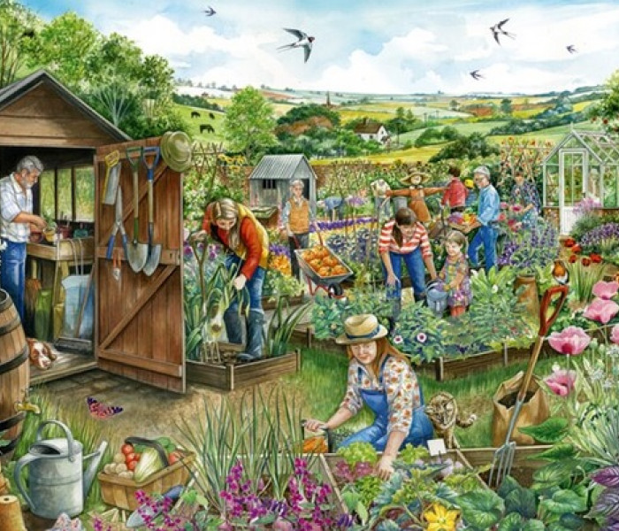 Puzzle - Falcon - Dole na záhradke