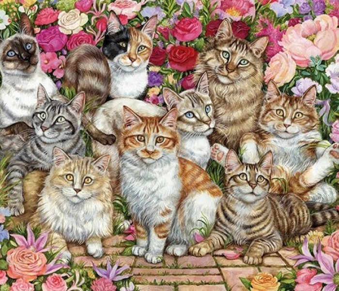 Puzzle - Falcon - Mačky v kvetoch