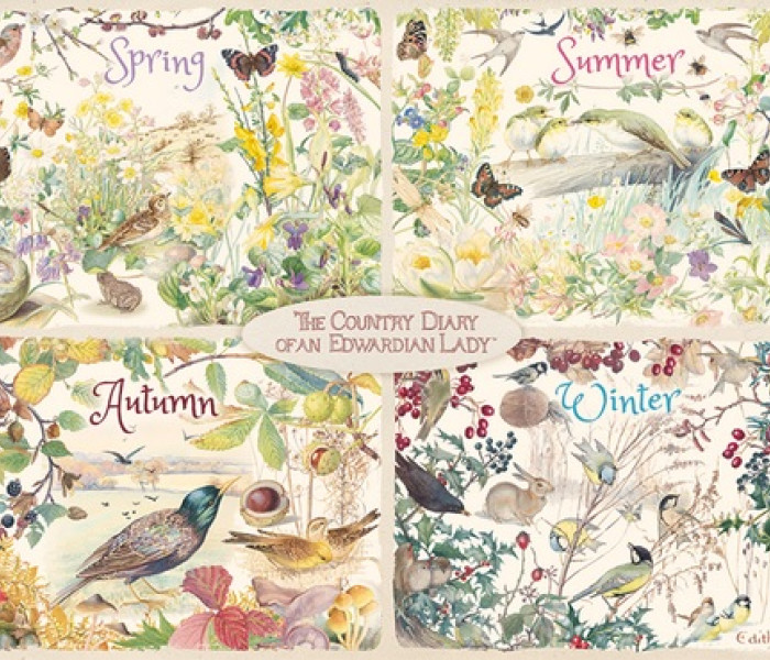 Puzzle - Falcon - Štyri ročné obdobia na vidieku