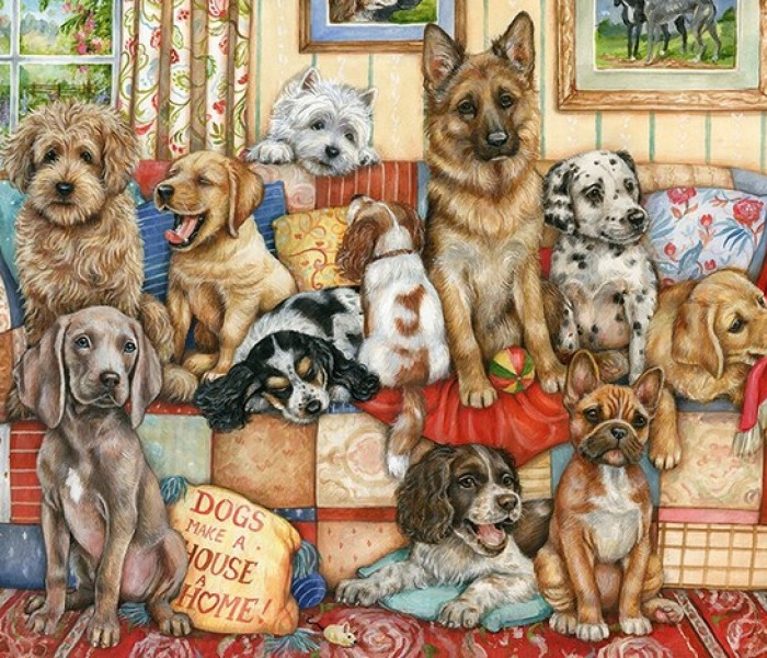 Puzzle - Falcon - Zhromaždenie na gauči