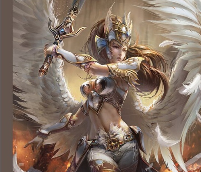 Puzzle - Jumbo - Anjel - bojovník