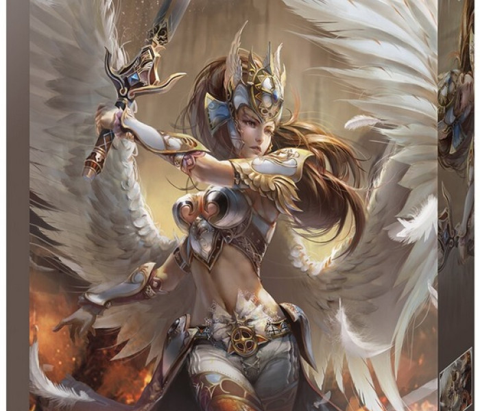 Puzzle - Jumbo - Anjel - bojovník