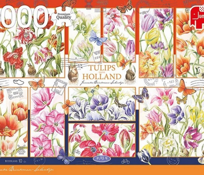 Puzzle - Jumbo - Holandské tulipány