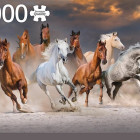 Puzzle - Jumbo - Kone na púšti