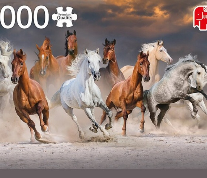 Puzzle - Jumbo - Kone na púšti