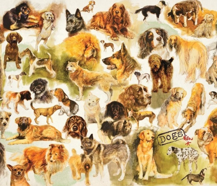 Puzzle - Jumbo - Plagát so psami