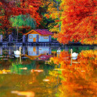 Puzzle - King - Malý domek u jezera